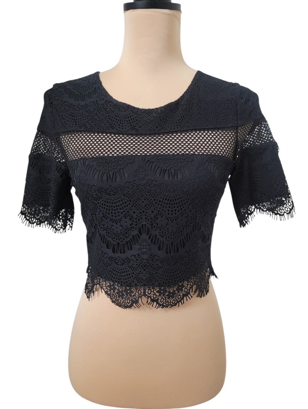 Express Size XS Whimsigoth Black Lace Crop Top with Fishnet Detail